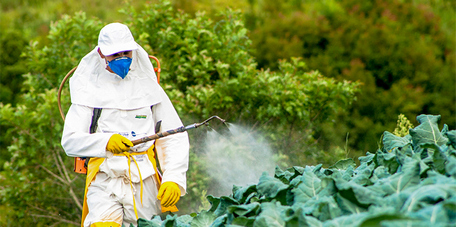 Herbicides, insecticides and fungicides threaten the environment and human health in many parts of the world.