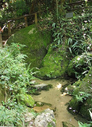 Source of the Tietê River in Salesópolis: The water flows over stones.