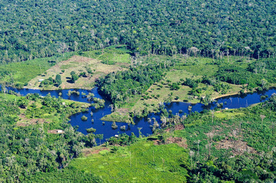 Deforestation of tropical and boreal forests, Brazil