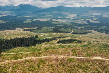 Deforestation in British Columbia, Canada