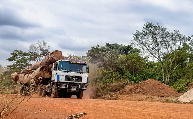 Ghana Approves Landmark Policy To Curb Deforestation