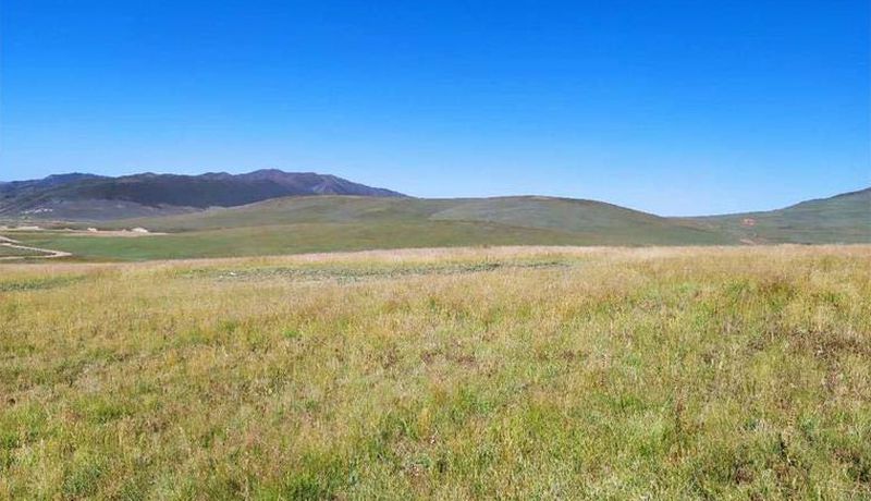 Three rivers grassland restoration, China