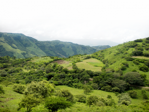CommuniTree Carbon Program, Nicaragua