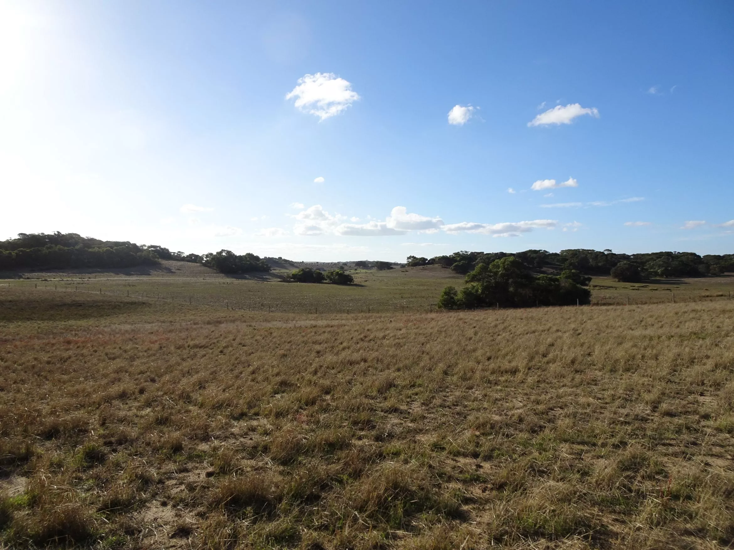 Mount Sandy Conservation