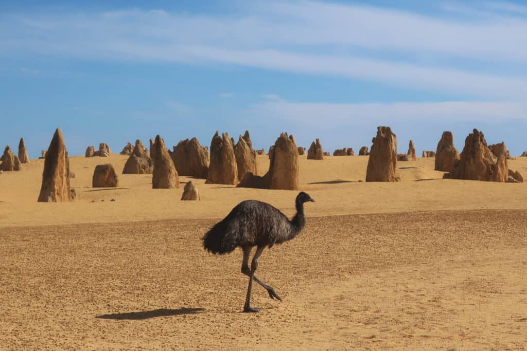 The Great Australian Desert has some of the most beautiful national parks in the world.
