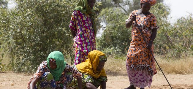 The Great Green Wall initiative created close to 120 000 farming jobs.