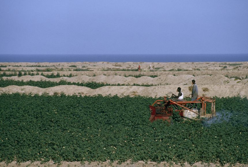 Land degradation in the Sahel has its roots in both human activities and natural climate cycles.