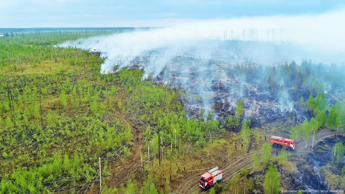 Fires in Siberia, April 2025