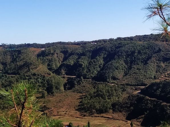 Reviving the Khasis’ connection with nature