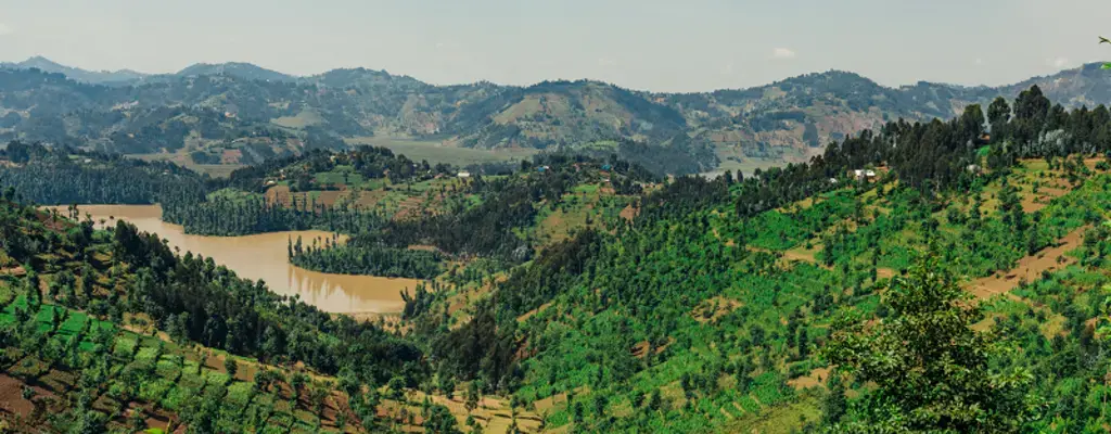 Restoring of African landscape