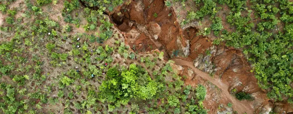 Africa’s land restoration sector is growing by the day.