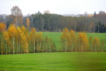A hundred years ago, 30% of Latvian territory was occupied by natural meadows untouched by human hands.