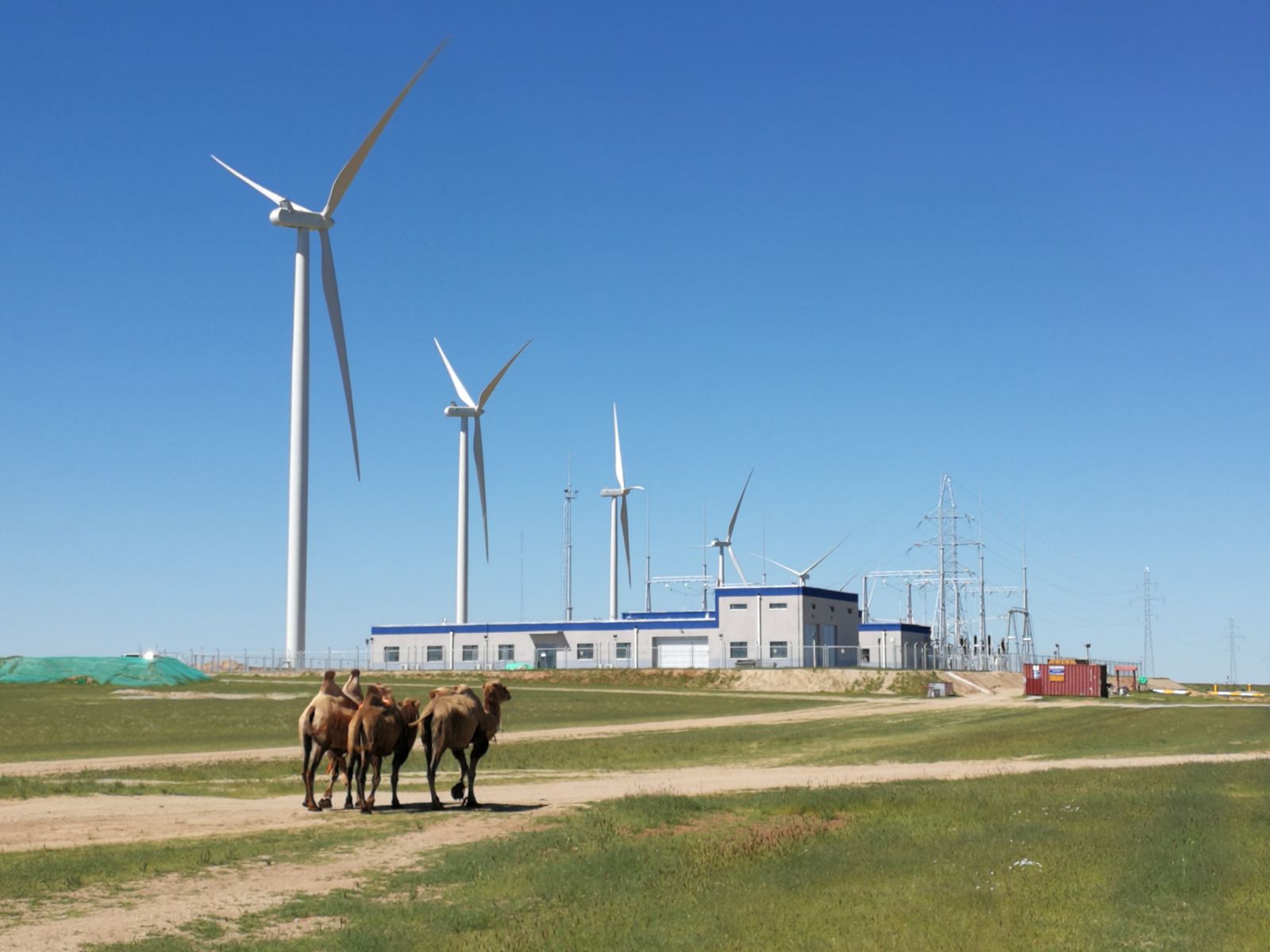 Salkhit wind farm, Mongolia