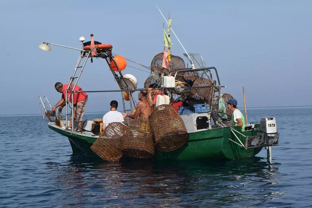 Preserving the ecosystem of the Al Hoceima National Park Marine Protected Area