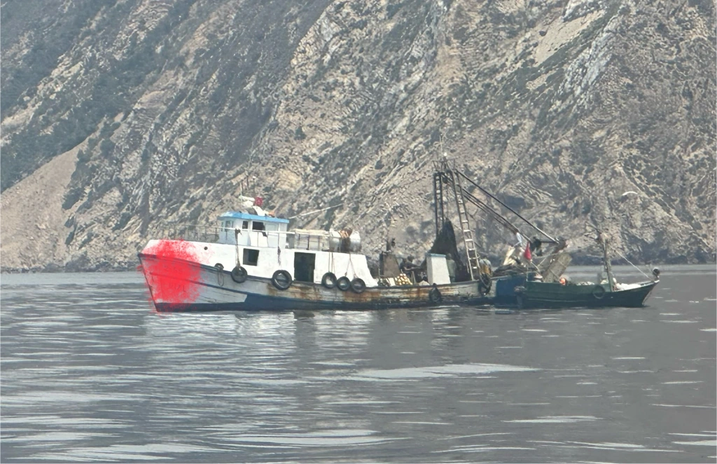 Preserving the ecosystem of the Al Hoceima National Park Marine Protected Area