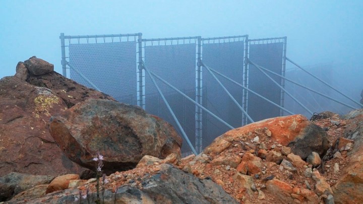 The fog collection system