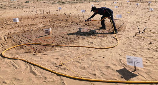 Transforming Desert into an Agriculture Oasis, Saudi Arabia