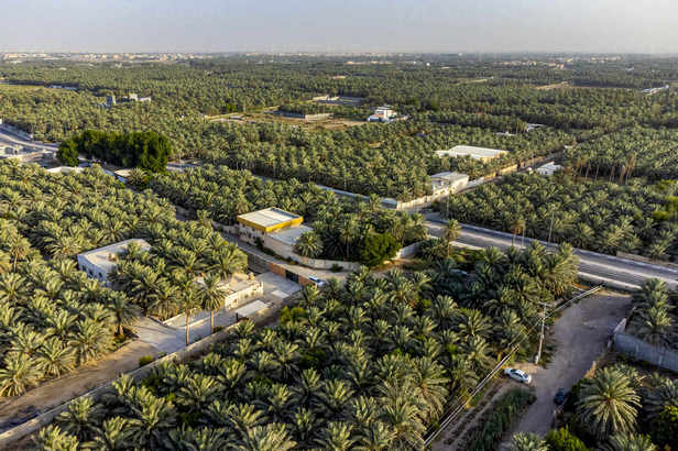  Al Ahsa Oasis in eastern Saudi Arabia