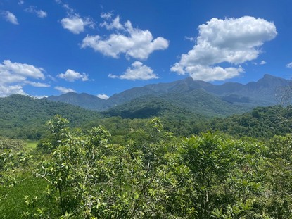 conserving the primary forest on its land, Regua aims to boost biodiversity and reduce fragmentation with restoration efforts. Image © Sarah Brown.