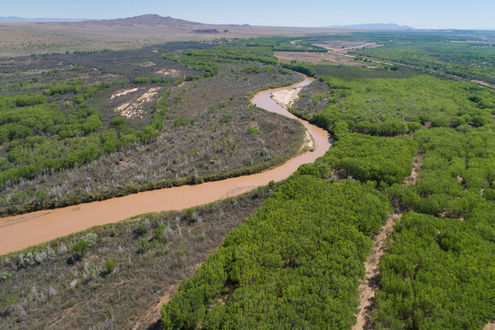 The Rio Grande runs through the Bosque del Apache National Wildlife Refuge,