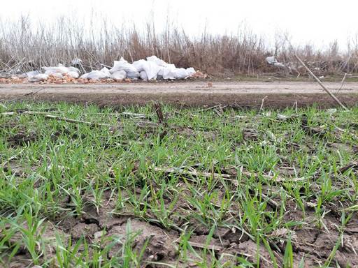 Pesticide dump in Sumy. April 2021
