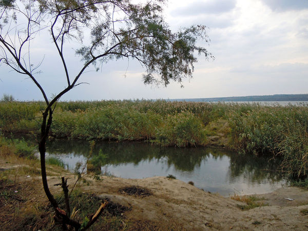 Lake Yalpuh, Bolgrad