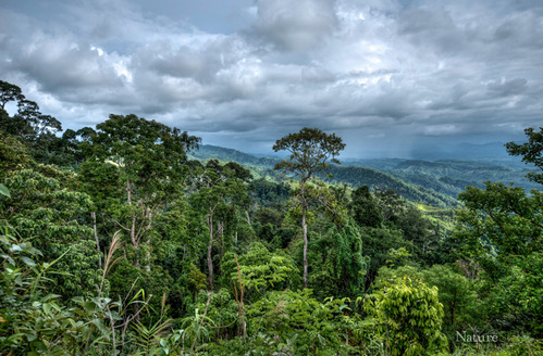 Chittagong Hill Tracts, falls within the Indo-Burma Biodiversity Hotspot, covers 10% of the total land area of Bangladesh but has been greatly reduced in extent by deforestation.