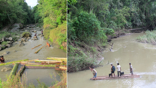 Organized group of illegal loggers transporting trees through waterways in Sangu Reserve Forest. Photo Credit: Creative Conservation Alliance. Most forested areas in Chittagong Hill Tracts are remote and difficult to access especially in the rainy season.