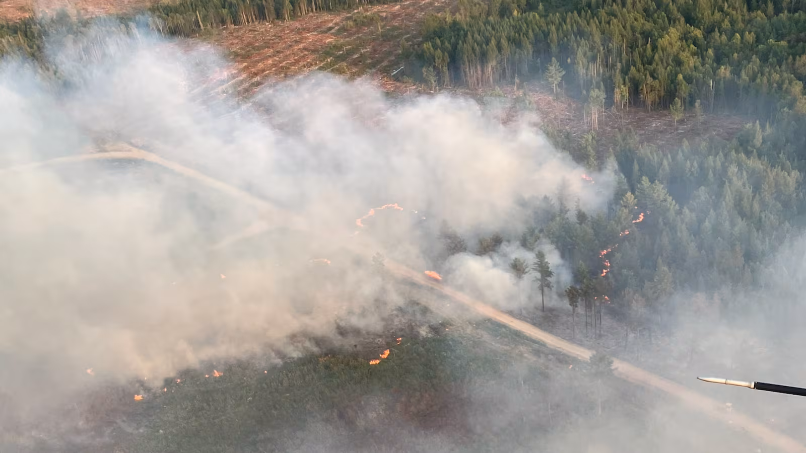 August 10, 2025 of a wildfire burning out of control near Canterbury.