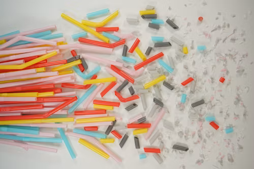 Using engineered bacteria to remove microplastics