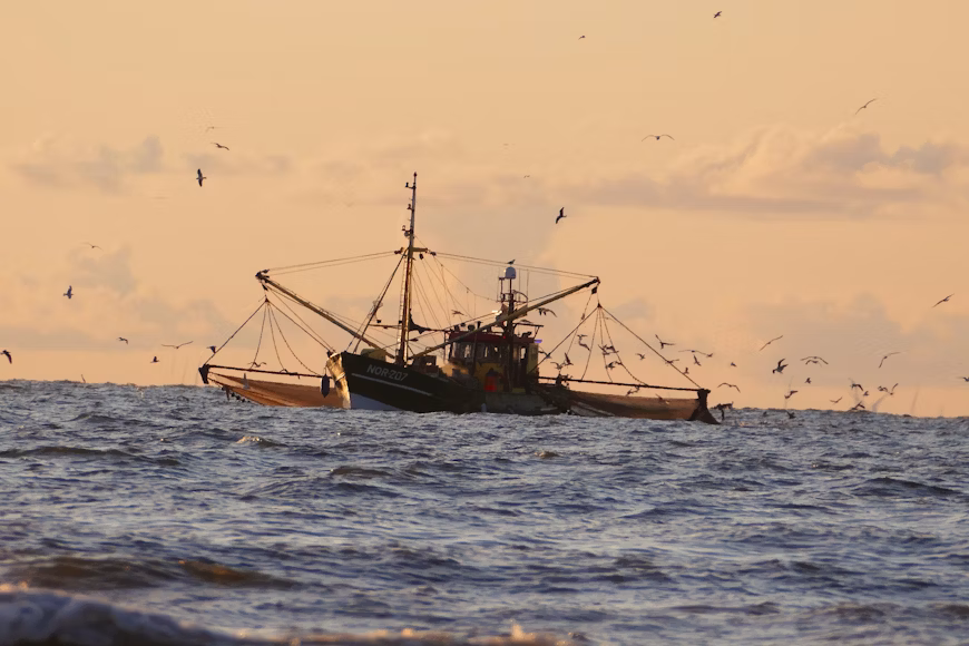 Fishing in a vast Pacific nature area halted