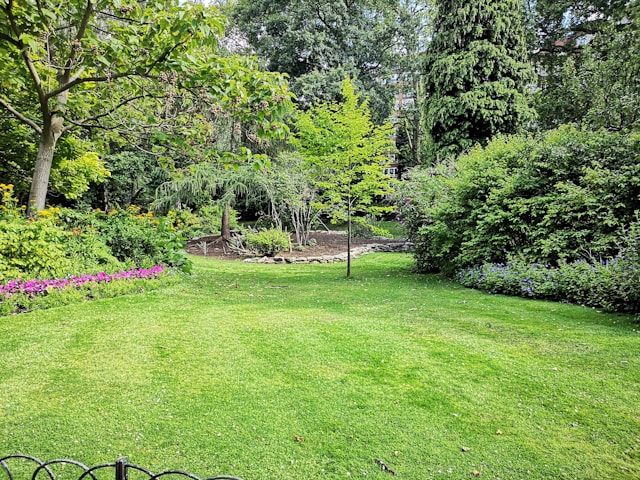 London's Kew Gardens opens carbon garden