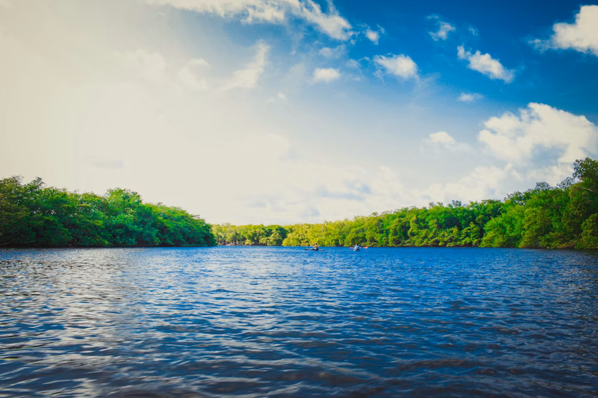 300 dams demolished in historic river project