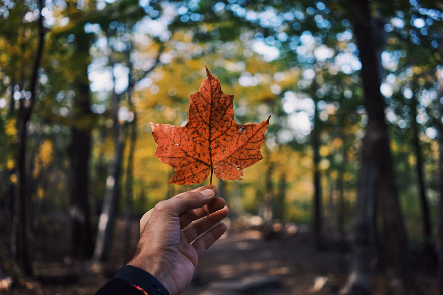 Canada's national climate adaptation strategy