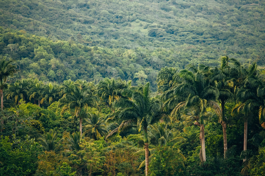 Brazil, France invest $1.1b in Amazon rainforest