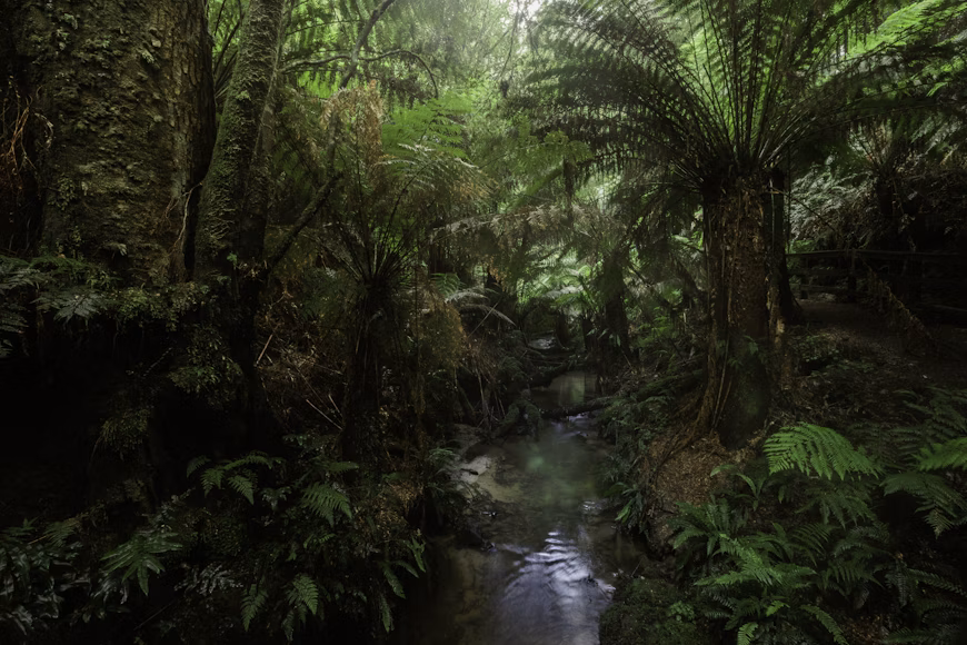 COP16 secures $163m for nature projects