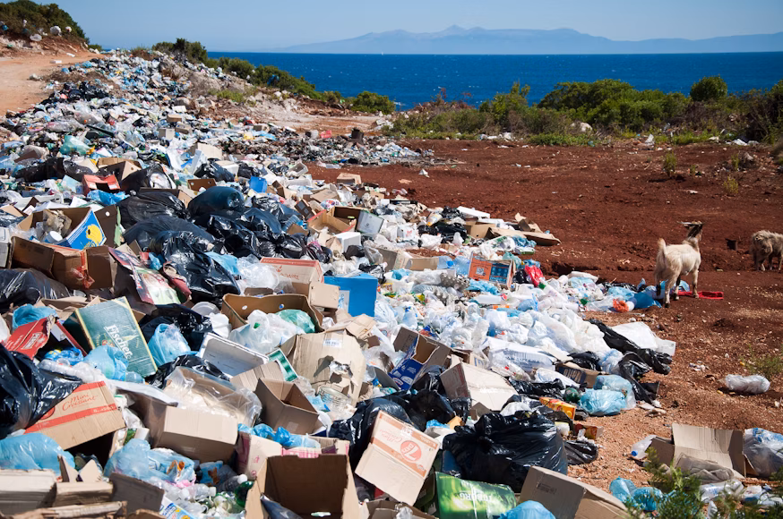 EU agrees on law to cut packaging waste
