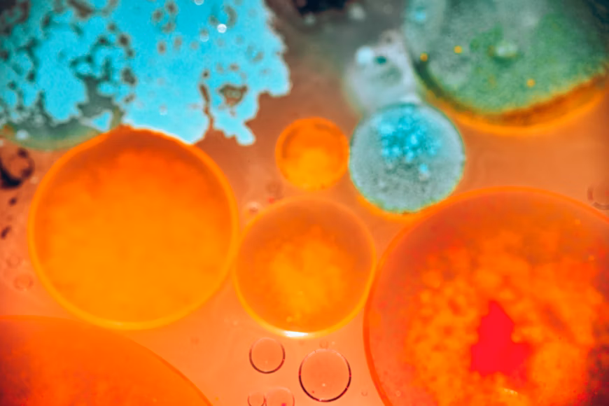 Plastic-eating fungi may help tackle waste