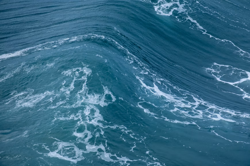 US startup's new system captures 4000 tons of CO2