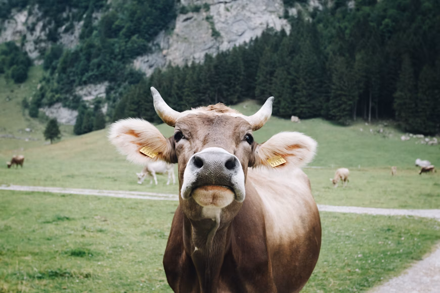 A breakthrough butter made from CO2