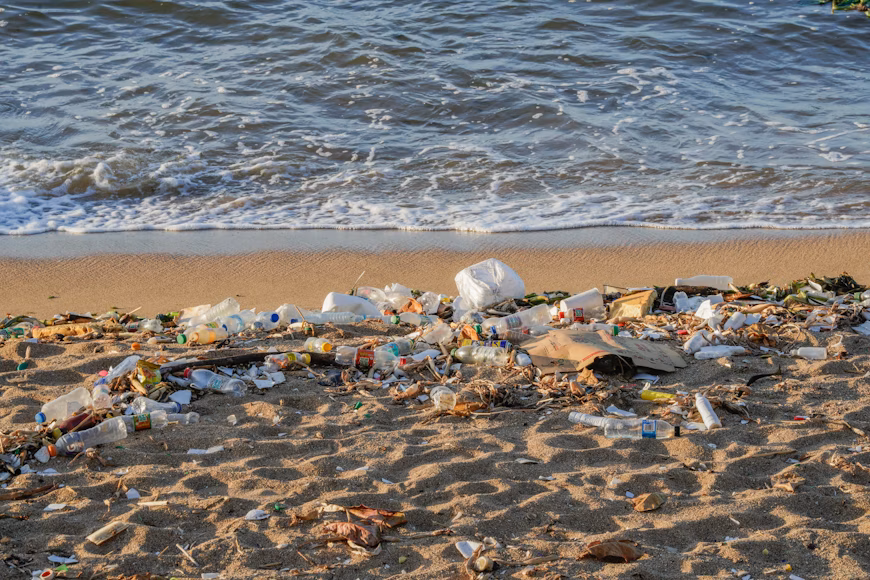 Australia’s plastic pollution drops nearly 40%