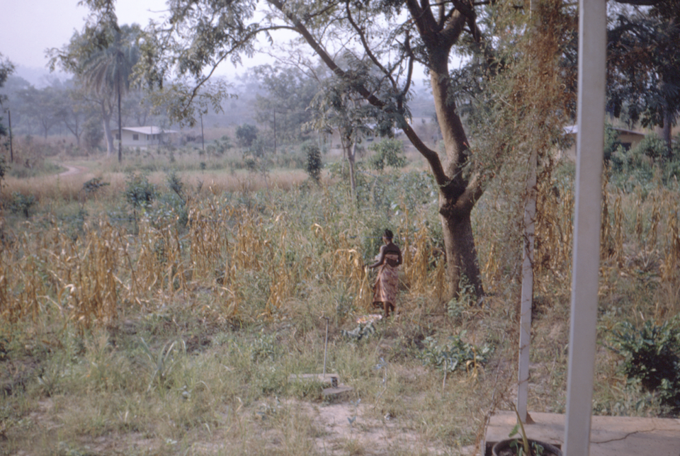 1968 refugee camp 2.png