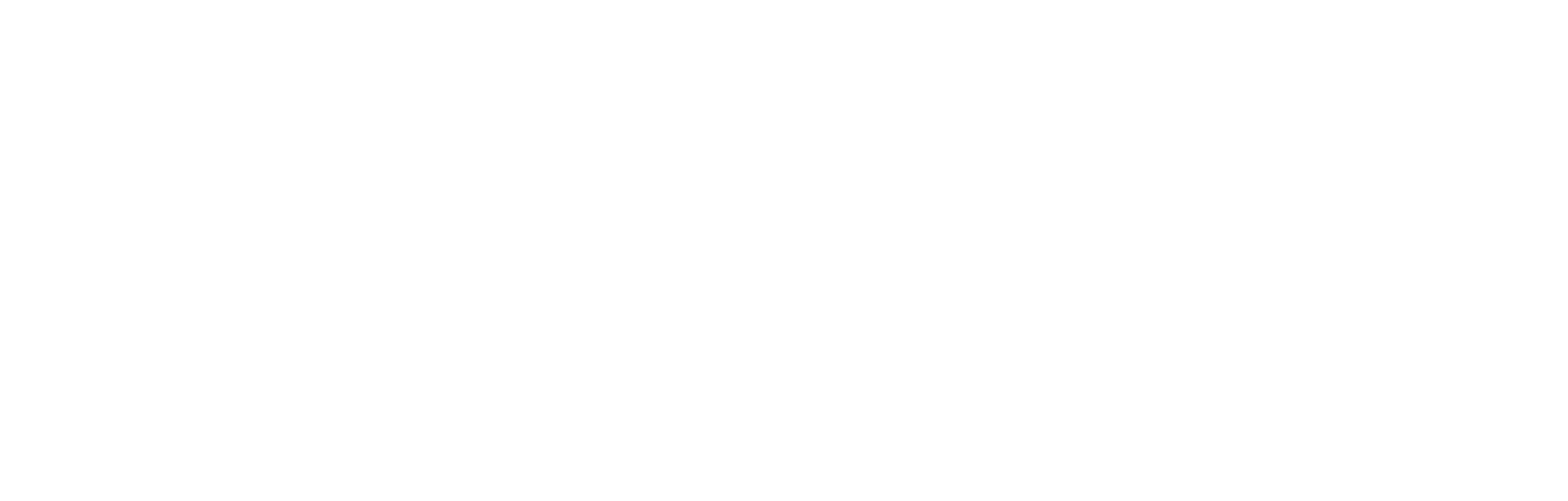 Carbfix