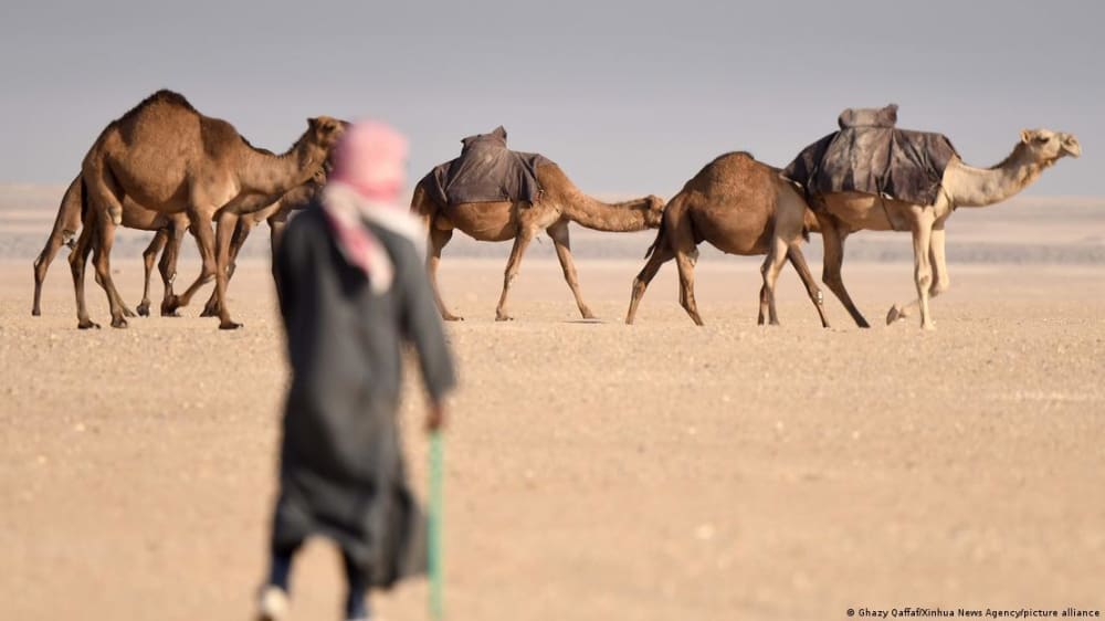 The country could become uninhabitable if it doesn't take climate change seriously