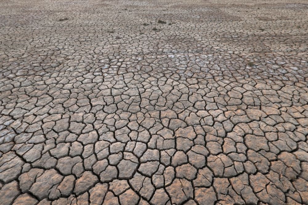 Climate change is having serious impacts on Kuwait's agricultural sector due to increased water scarcity, desertification and rising temperatures.