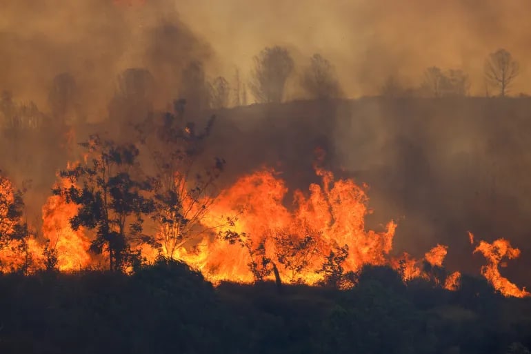 A fire burning in the province of Canakkale, Turkey, on June 18, 2024