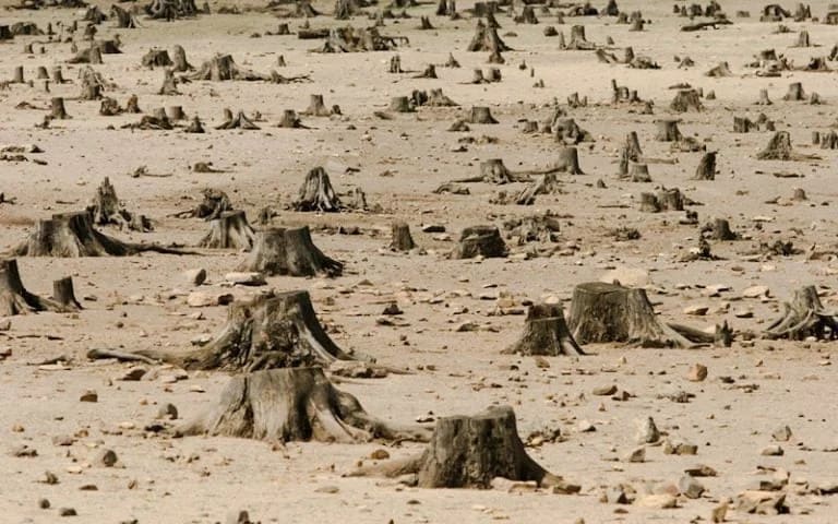 Deforestation in Ethiopia