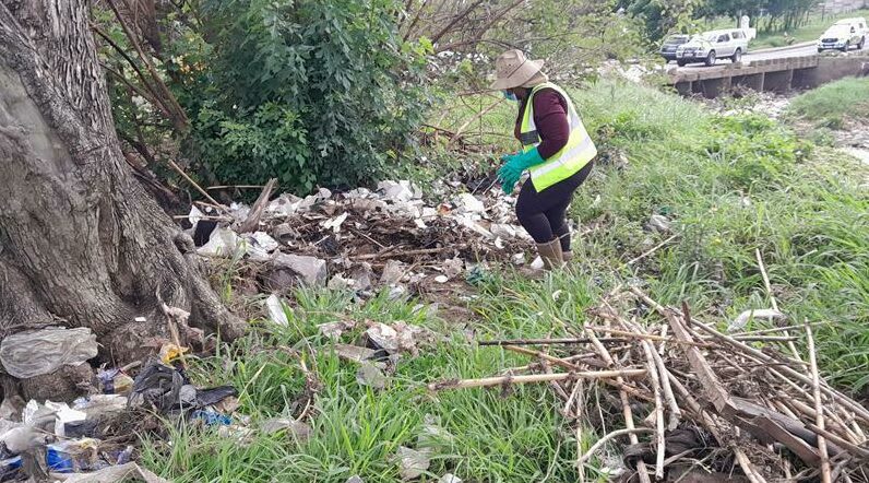 Environmental Warriors.