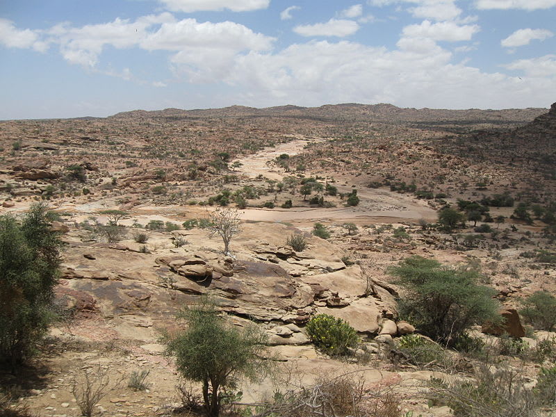 Deforestation in Somalia