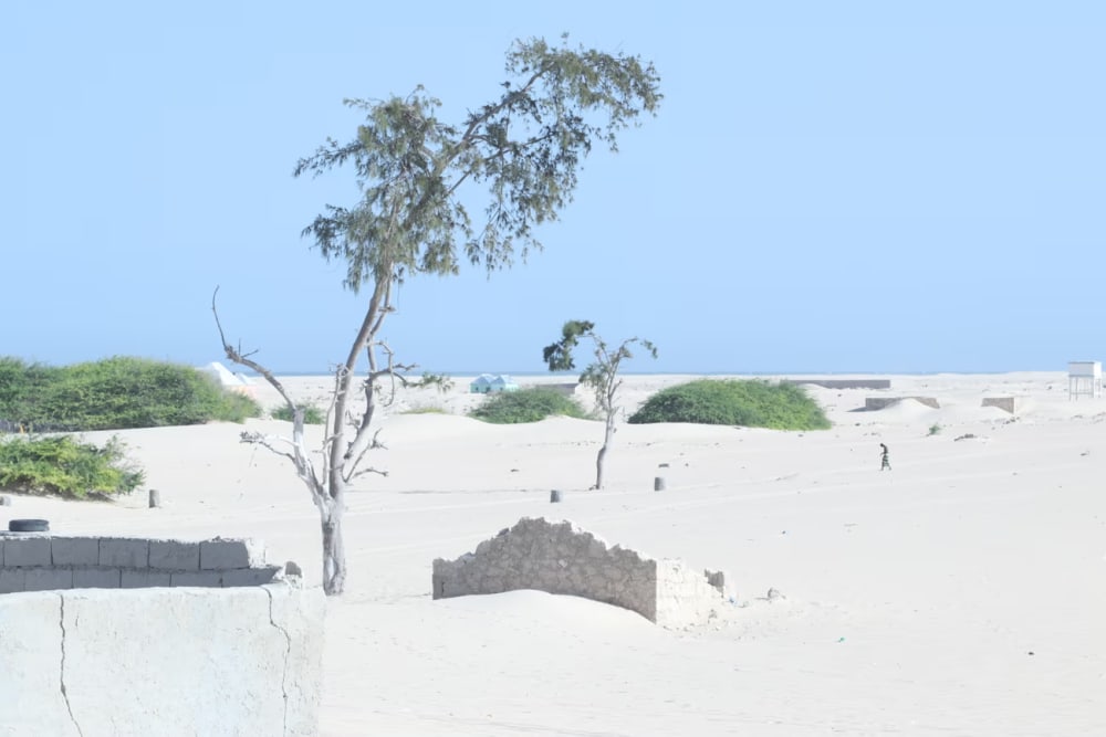 The 13th-century port of Hobyo may disappear if the government does not act, say locals